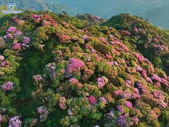 Tour du lịch Mộc Châu - Tà Xùa - Điện Biên - A Pa Chải - Sapa