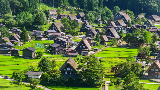 Tour du lịch nhật bản: hà nội – tokyo – phú sĩ – kyoto – osaka – hà nội 6 ngày 5 đêm bay vietnam airlines