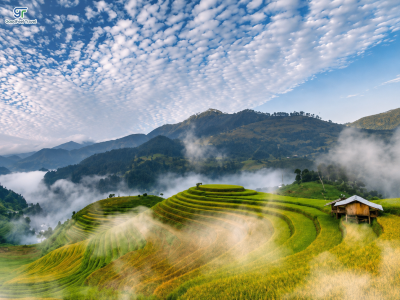 Tour trải nghiệm tham quan mùa lúa chín Mù Cang Chải - Mùa Vàng Sẻ Chia 4 ngày 4 đêm